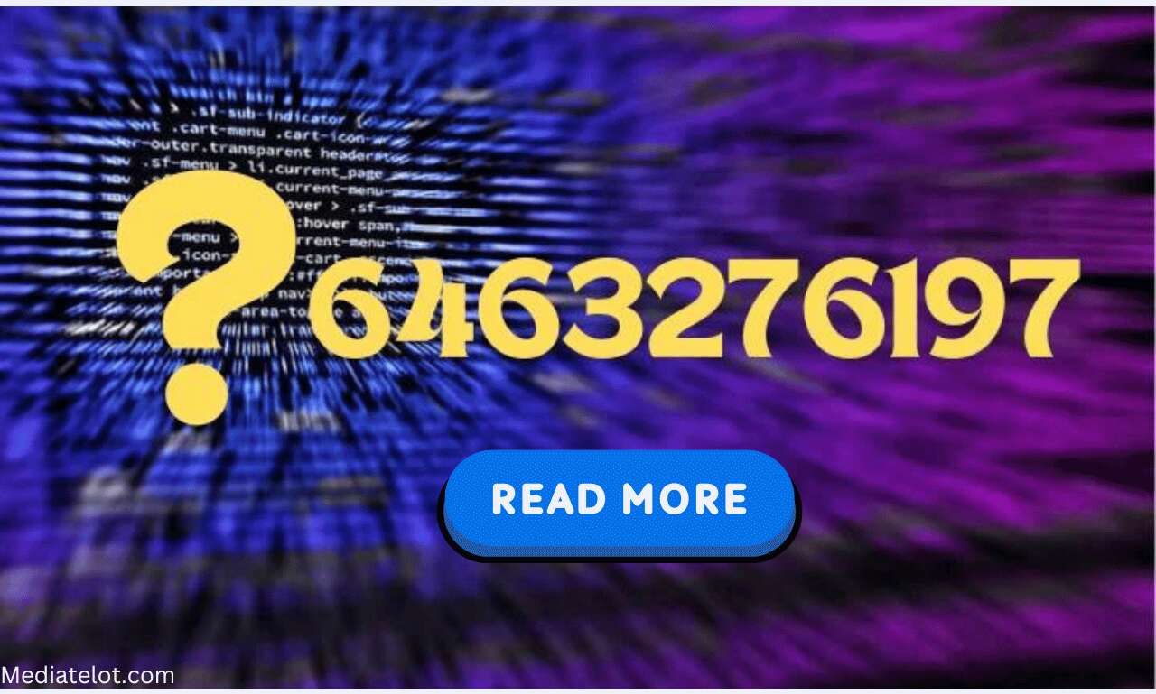 6463276197 : What does this number mean?