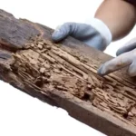 The Dynamics of Damage: How Different Materials Become Like Wood