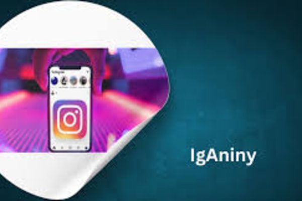 Iganiny: Exploring a Digital Frontier