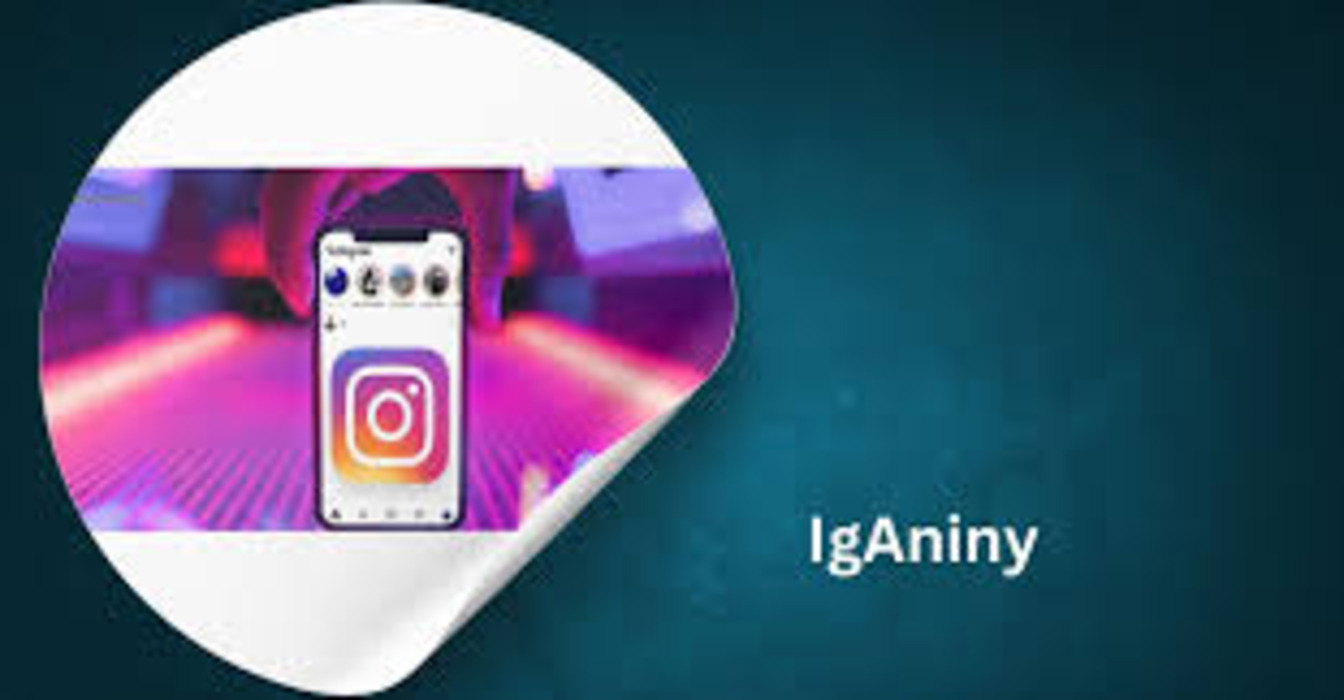 Iganiny: Exploring a Digital Frontier