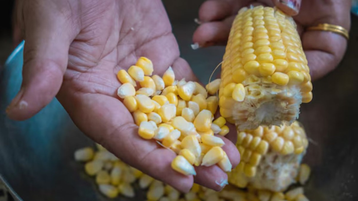 fpo Corn: Transforming agriculture for a sustainable future